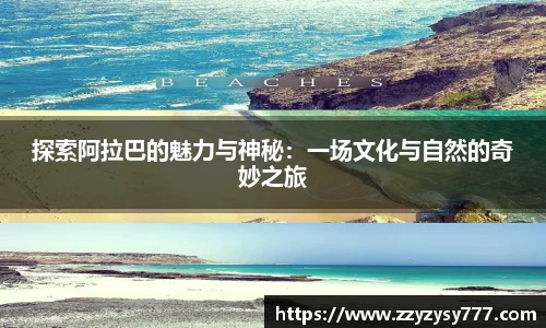 JN江南.体育